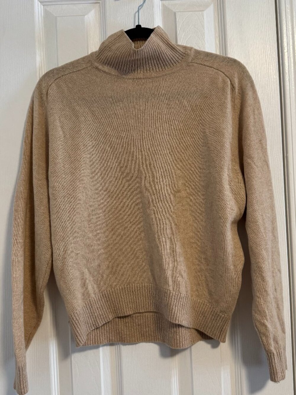 Aritzia Babaton Perry Turtleneck